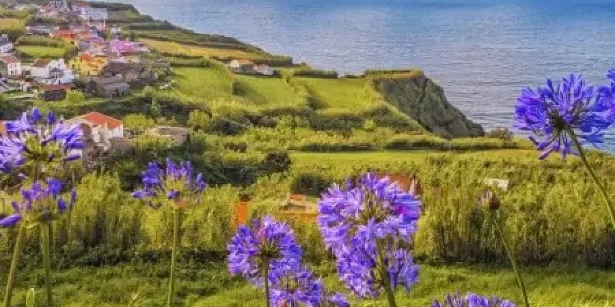 Experience the Highlights: Azores Tours' Best Day Trip Destinations