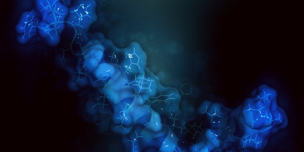 Immortalized Human Fallopian Tube Secretory Epithelial Cells (FT33-shp53-R24C)
