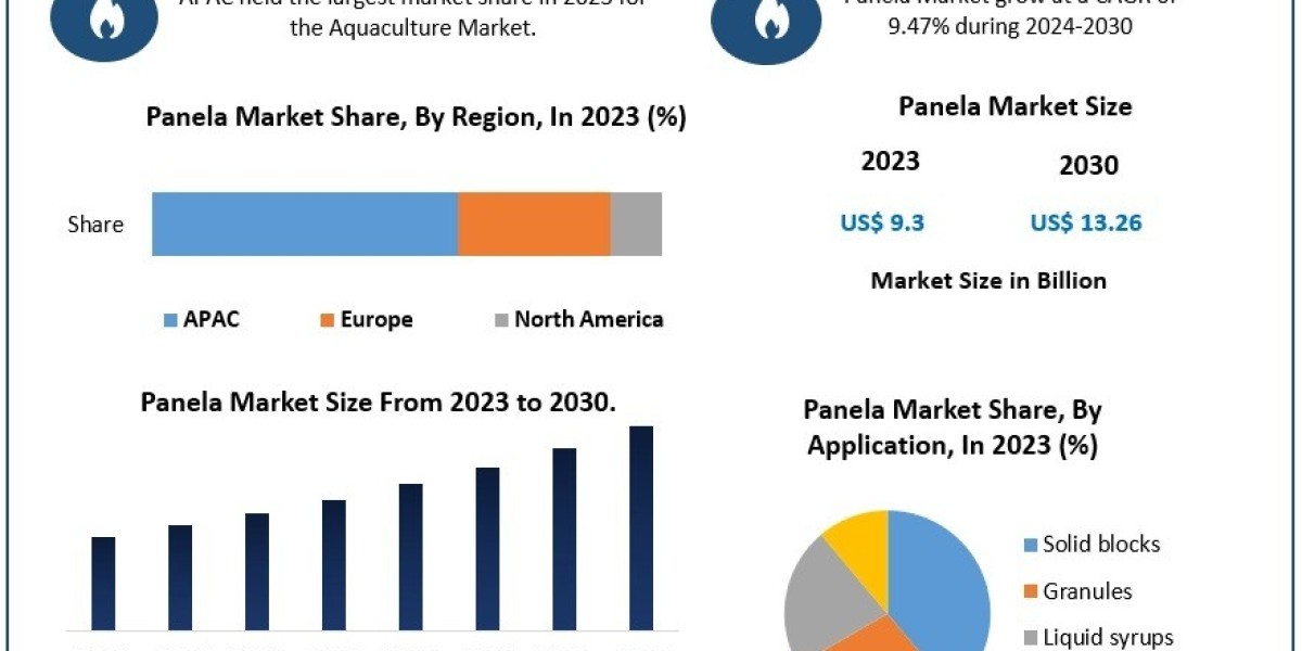 Who Are the Major Players in the Global Panela Market?