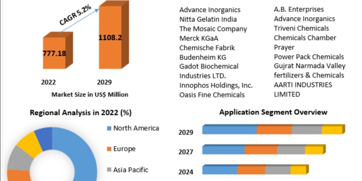 Calcium Phosphate Market Outlook 2025–2030: Building Blocks of Growth