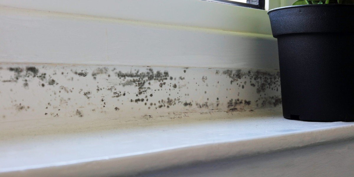 Professional Mould Removal Leitrim – 100% Satisfaction