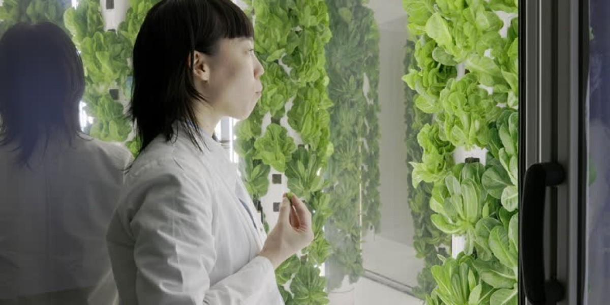 From Seed to Harvest: Building, Operating, and Optimising Your Own Aeroponic Tower Garden with Proven Hydroponic Tower T