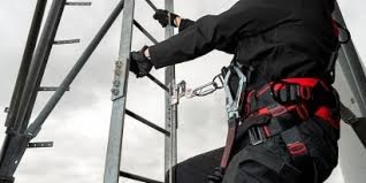 Product Fall Protection Systems Market: Navigating a Changing Safety Landscape