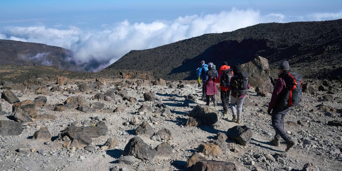 Lemosho Route: The Ultimate Kilimanjaro Climb Experience