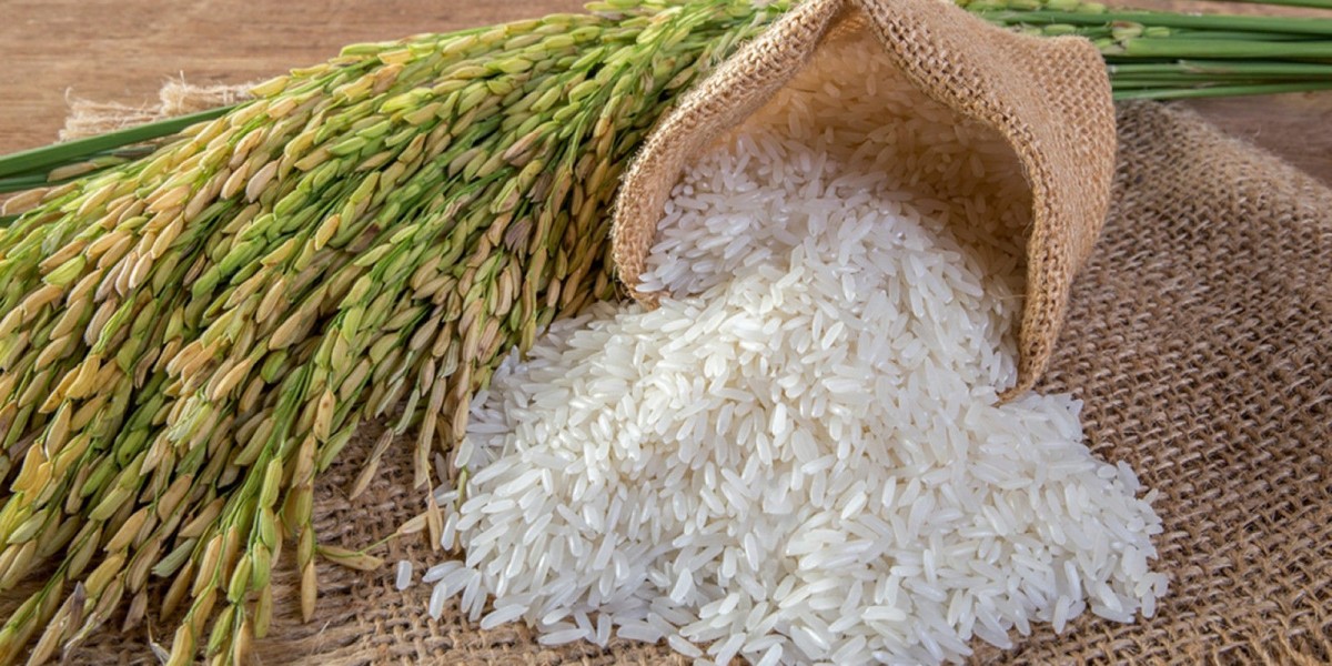 Rice Seed Market Analysis, Size, Share, Growth, Trends, and Forecasts by 2031