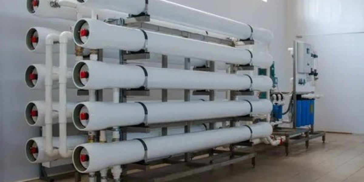 Reverse Osmosis Membrane Market Dynamics Shift with Growing Focus on Energy Efficiency and Sustainable Water Solutions