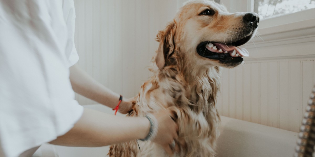 Pet Shampoo Market Investment Opportunities and Entry Strategies
