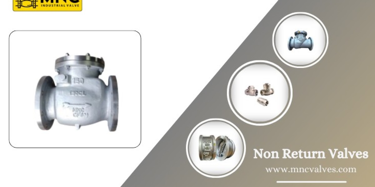 Non Return Valve Manufacturers and Exporter in India
