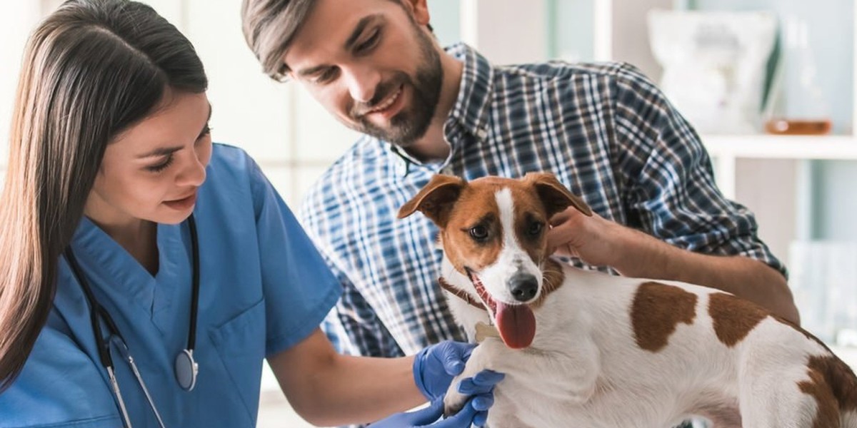 Pet Insurance Market and the Role of Technology: AI, Apps & More