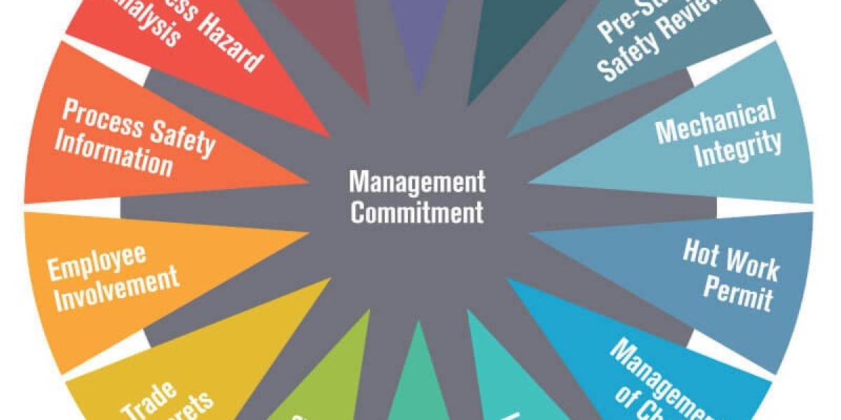 Process Safety Services Market Opportunities Expand With Industrial Growth and Demand for Proactive Risk Management