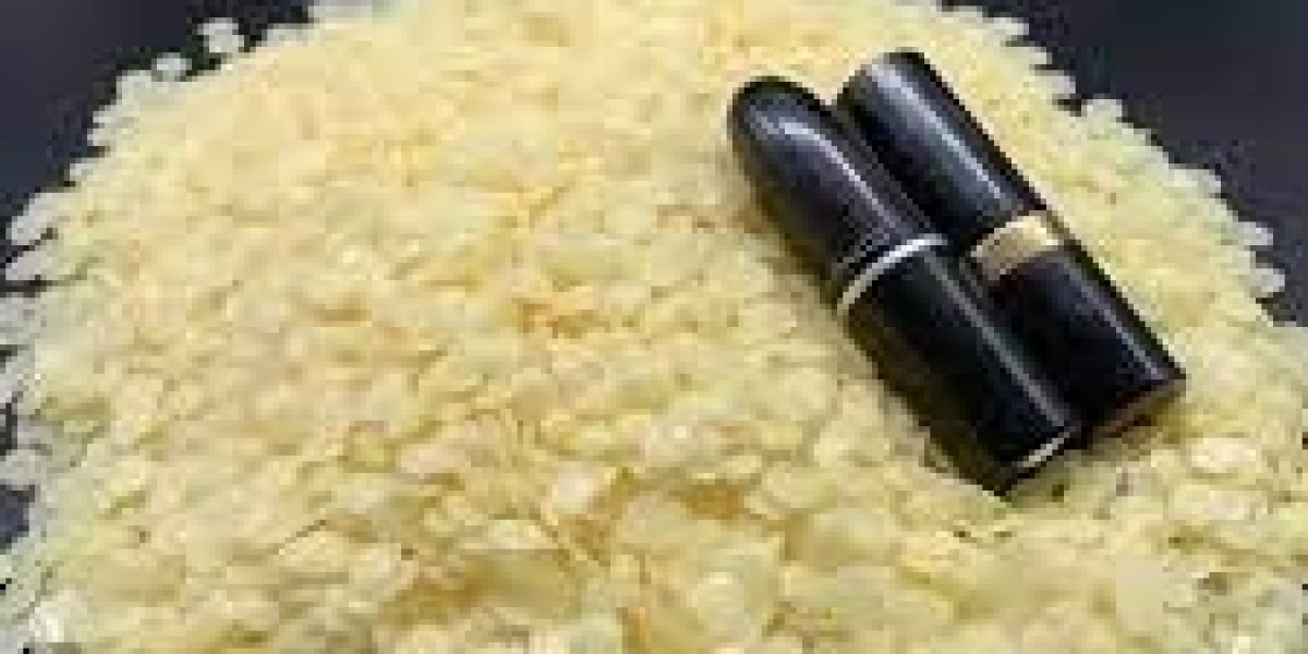 Bio-Wax Market: Innovations in Production and Formulation for Eco-Friendly Wax Solutions