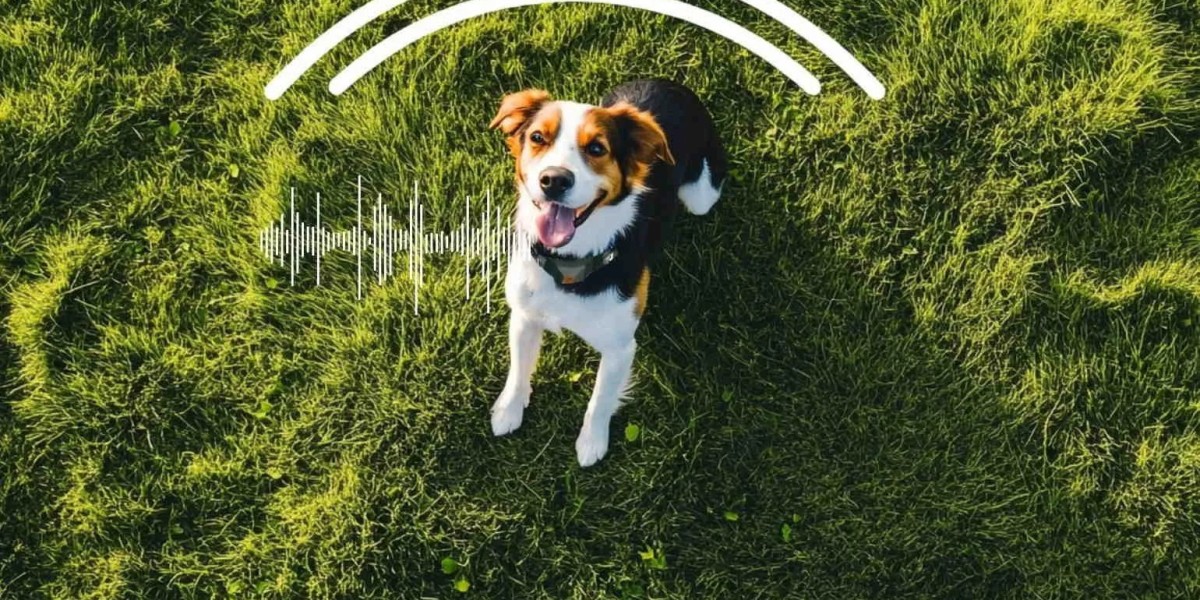 Luxury Custom Dog Houses for Spoiled Pups – Smart Pets Home Picks