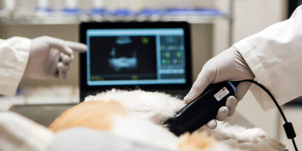 Veterinary Ultrasound Scanner Market Expansion: Exploring Key Drivers and Market Trends Across Regions