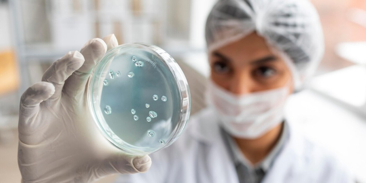 Immuno-Oncology Market: Size, Growth, Trends, Innovations and Future Prospects