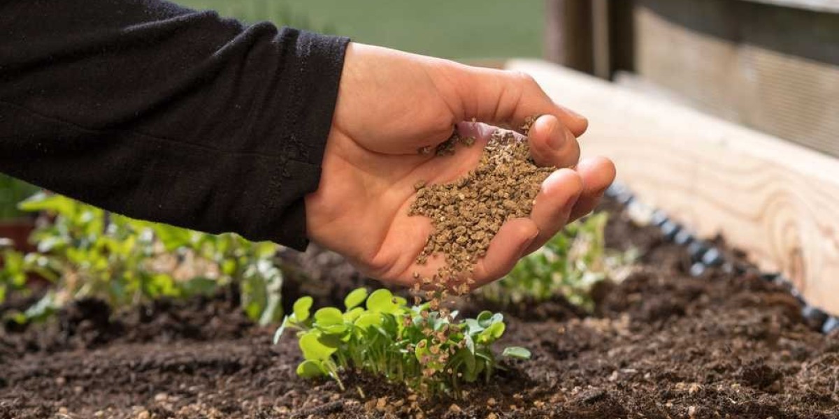 Biofertilizers Market Dynamics: Key Drivers, Challenges, and Emerging Opportunities Shaping the Industry