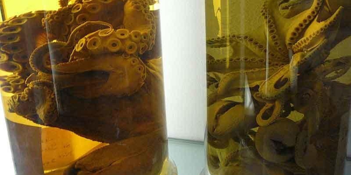 Formaldehyde Market Research Insights: Key Players, Segments and Forecasts to 2030