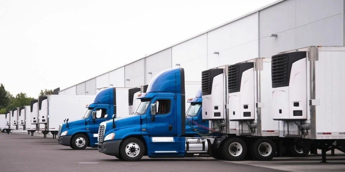 UK Cold Chain Logistics Market: Unlocking Opportunities in Temperature-Sensitive Transport