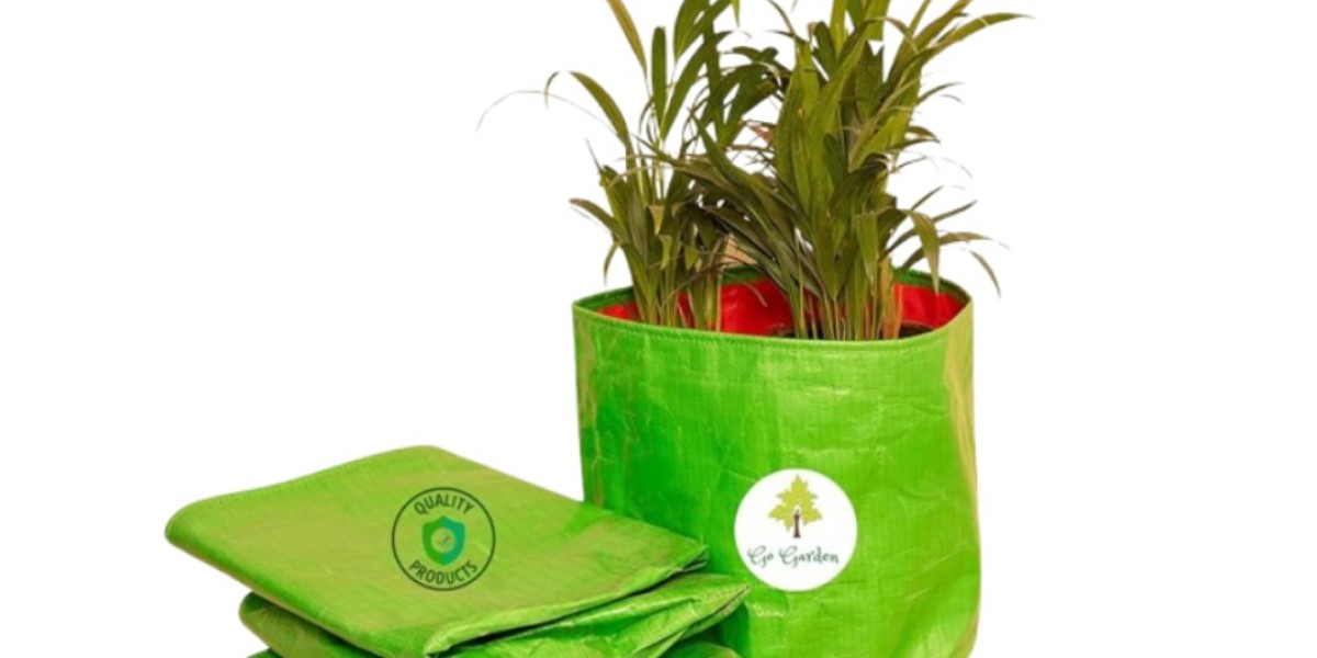 Nurturing Plants Easily With An Innovative Grow Bag