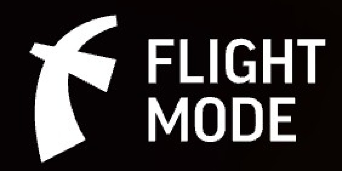 Why Your Business Needs a Branding & Web Design Company Like Fly Flight Mode