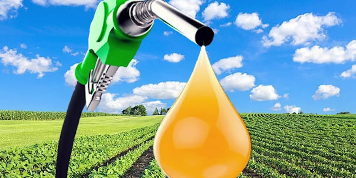 Biodiesel Market Drivers: Government Policies and Incentives Boosting Adoption