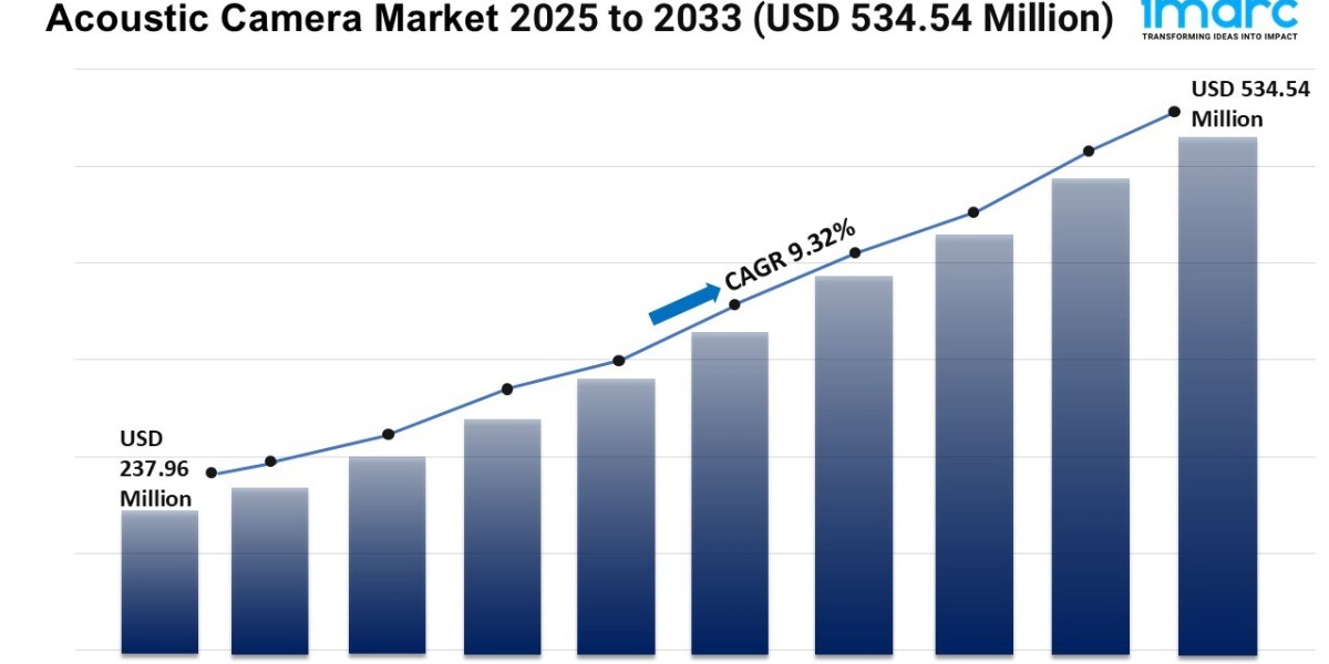 Acoustic Camera Market Size, Share, Growth, and Forecast 2025-2033