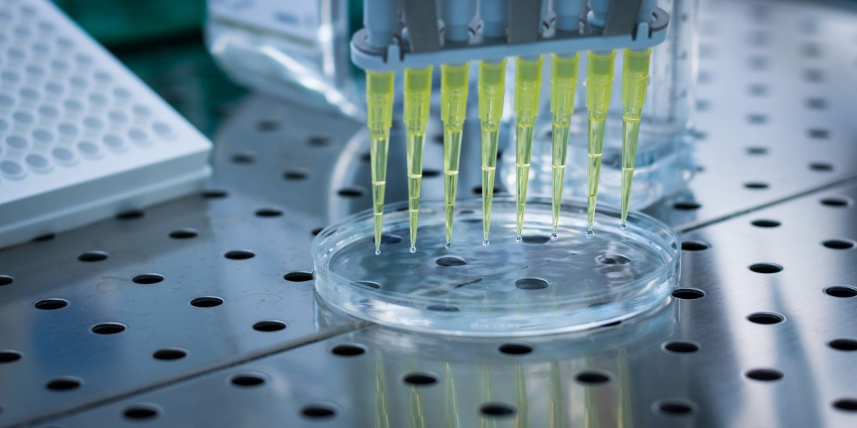Vocal Biomarker Market: The Evolution of Voice-Driven Health Monitoring in the Digital Era
