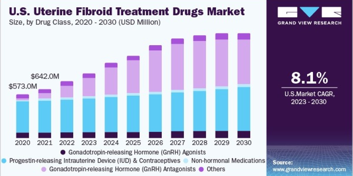 Uterine Fibroid Treatment Drugs Market 2030: Navigating the Approval Landscape