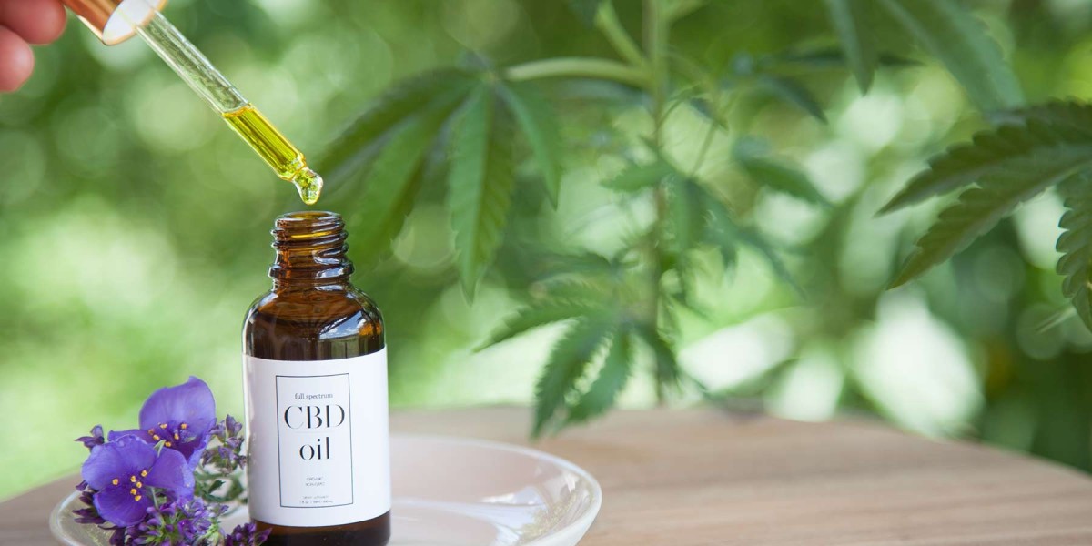 CBD Oil Market Forecast and Key Trends Predict Significant Growth in the Coming Decade