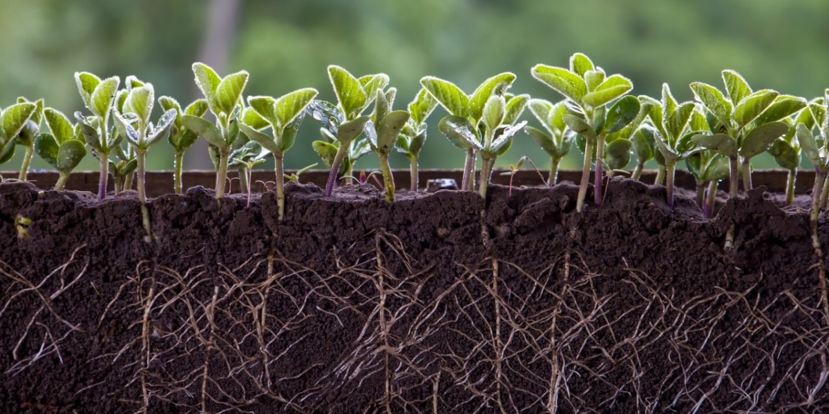 Bionematicides Market Strategic Moves: Key Approaches Shaping Future Growth and Expansion