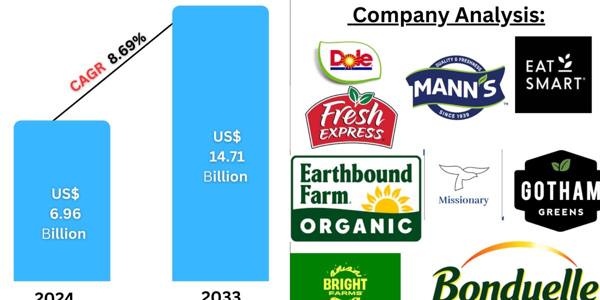 North America Packaged Salad Market  : Key Drivers, Regional Insights & Forecast to 2033