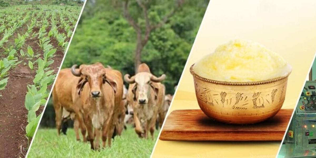 Green Food Supplements: A Natural Path to Better Health with Herbal Hills