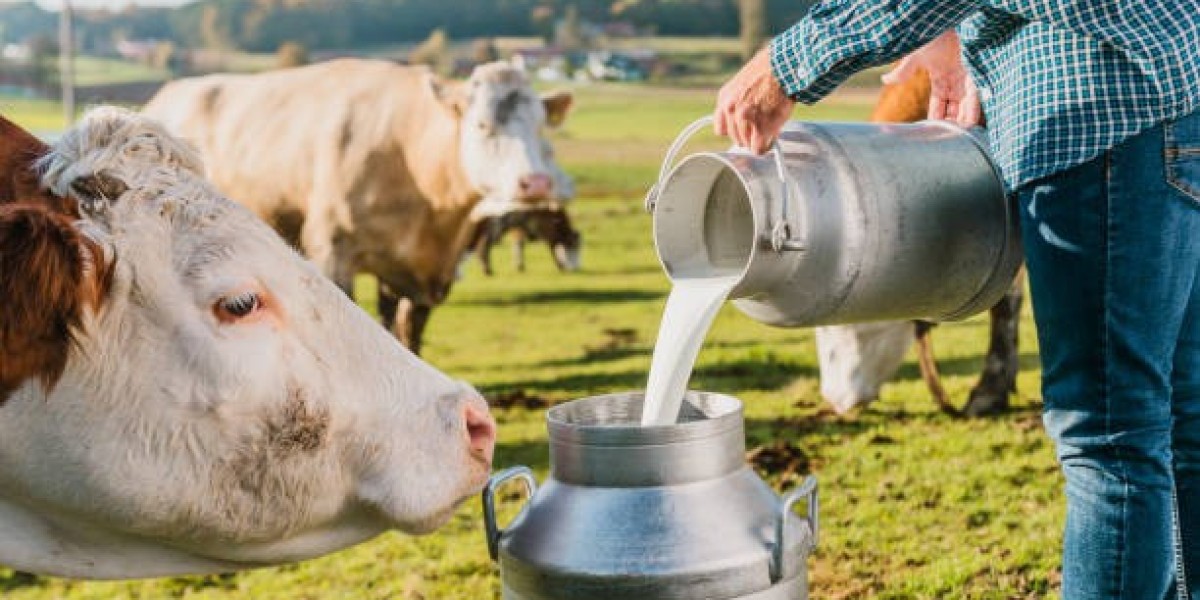 Dairy Container Market Expansion Fueled by Eco-Friendly Solutions and Convenience-Focused Packaging