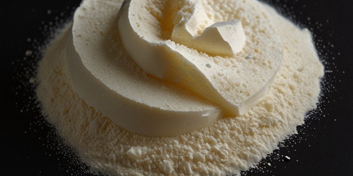 Xanthan Gum Manufacturing Plant Report 2025: Cost Analysis and Raw Material Requirements