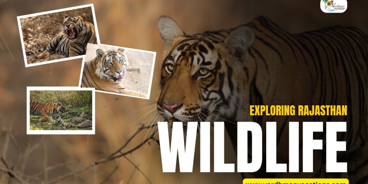 Rajasthan Wildlife Tour: Experience the Natural Beauty of India
