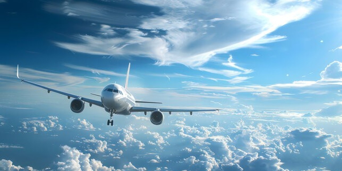 Assessing the Security of an Affordable Airline