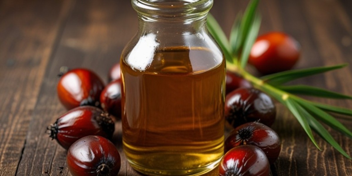 Palm Kernel Oil Manufacturing Plant Report 2025 | Project Details, Machinery Requirements and Cost Involved