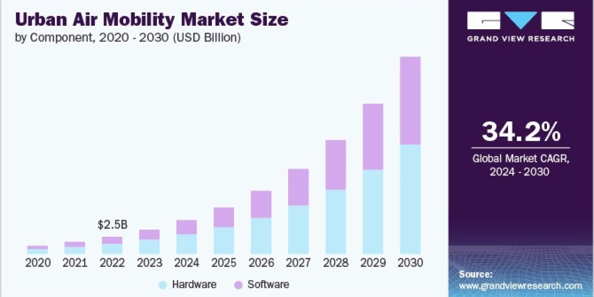 Urban Air Mobility Market 2030: The Role of Software Solutions