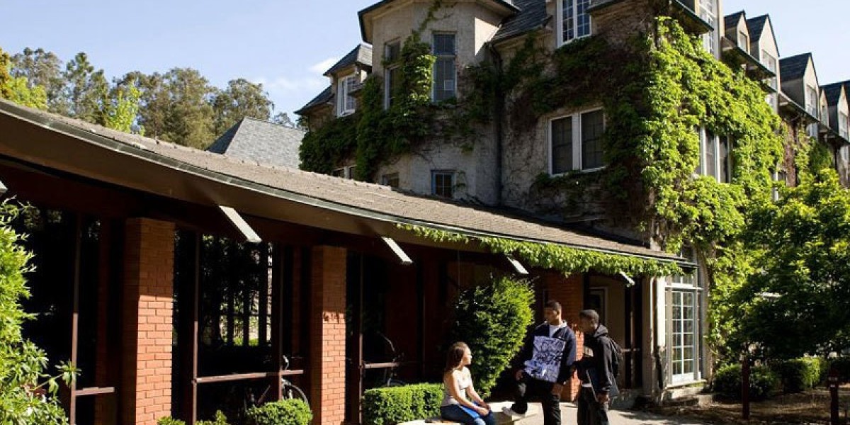 Graduate Nursing Programs at Dominican University: Unlocking Opportunities at University Rockland