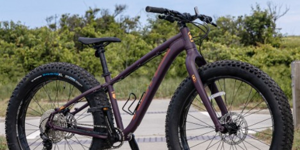 Exploring the World on a Fat Tired Bike: Comfort, Control, and Adventure