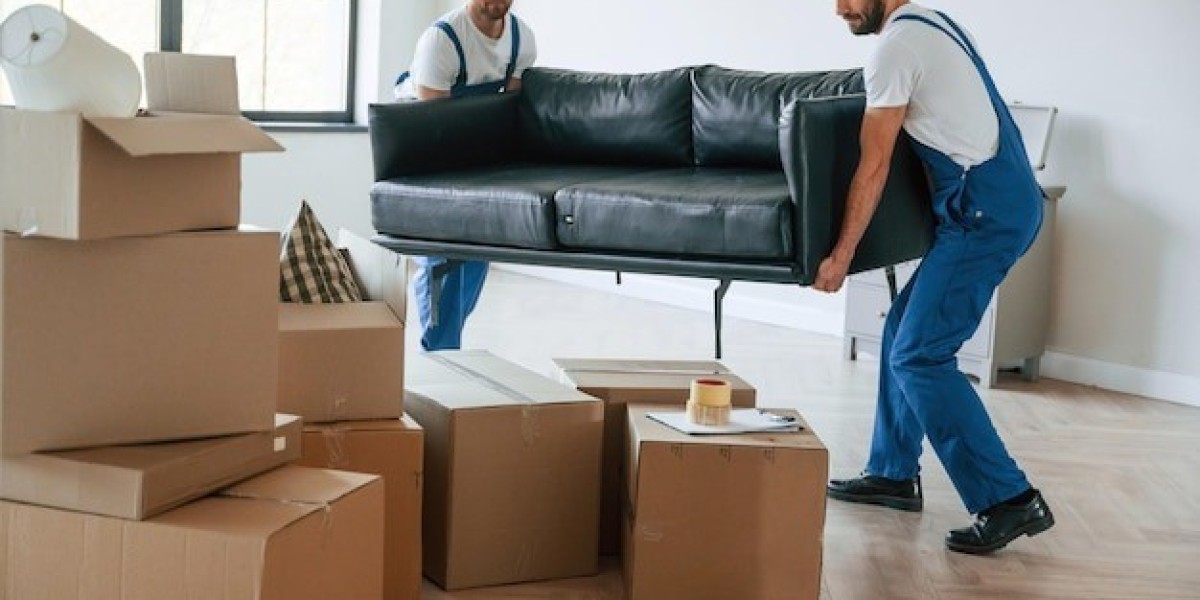 Reliable Dubai Cargo Services for Safe Shipping to New Zealand