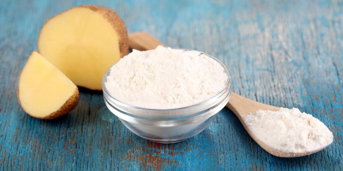 Organic Starch Market: Trends, Challenges, Innovations, and Future Opportunities for Growth and Sustainability