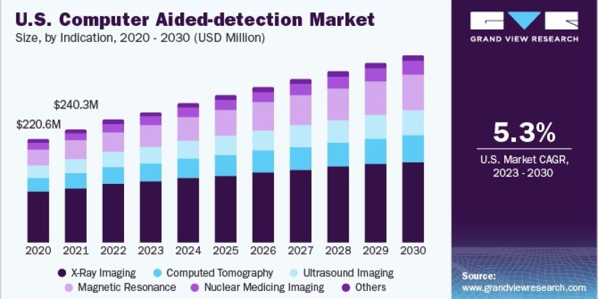Computer Aided Detection Market 2030: Navigating the Global Landscape