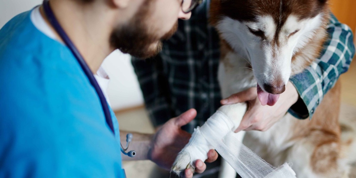 How 24/7 Emergency Vet Services Can Save Your Pet’s Life