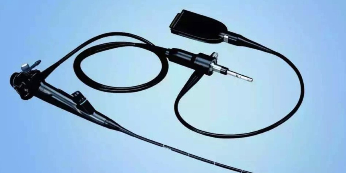 Disposable Endoscopes Market Inhibitors Persist Despite Innovation and Increasing Awareness About Infection-Free Procedu