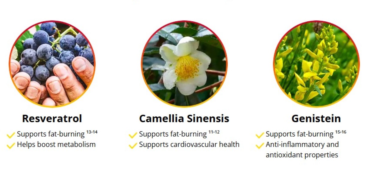 https://www.facebook.com/HepatoBurnCapsules/