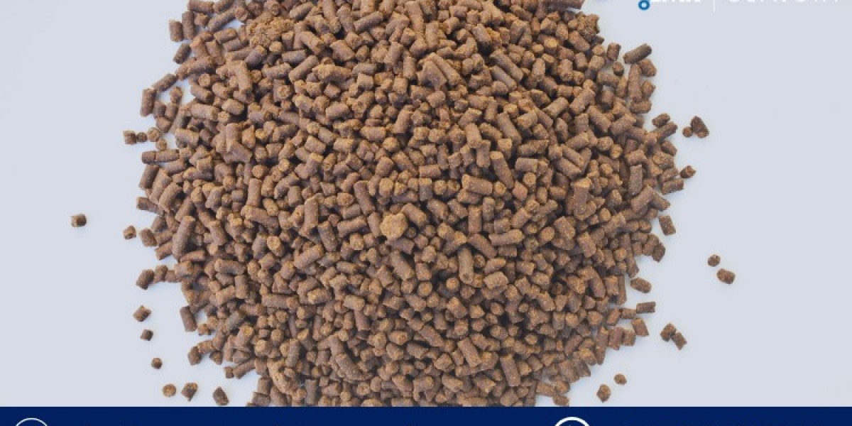 Shrimp Feed Market Size, Trends, Growth, Opportunities, Segmentation, Forecast, and Competitor Analysis 2025-2034