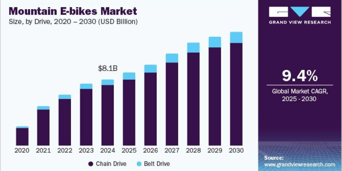 Mountain E-bikes Market Positioned for Expansion with Advances in Torque Sensors
