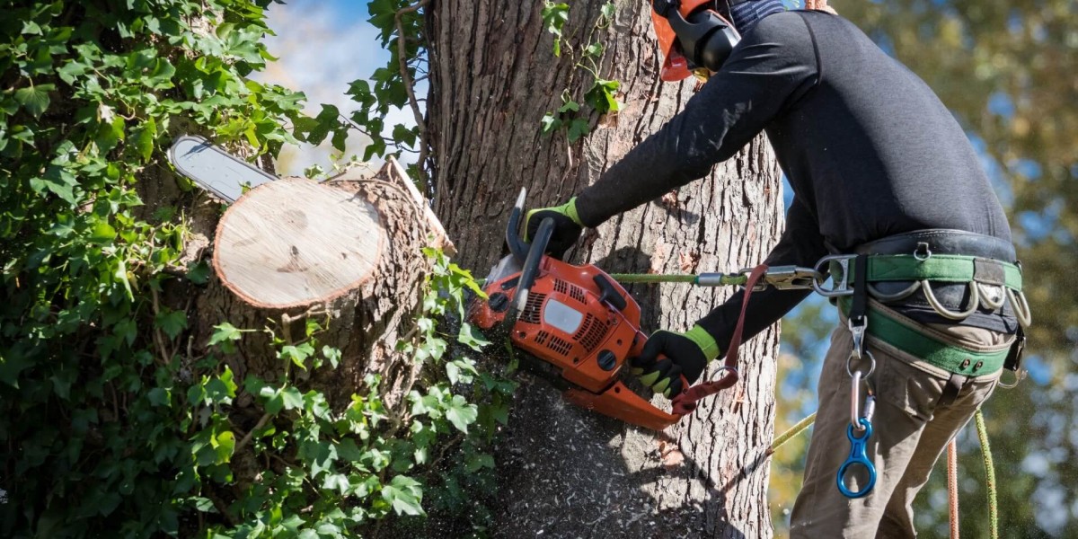 Emergency Tree Removal Services in Dennis, Harwich, and Yarmouth