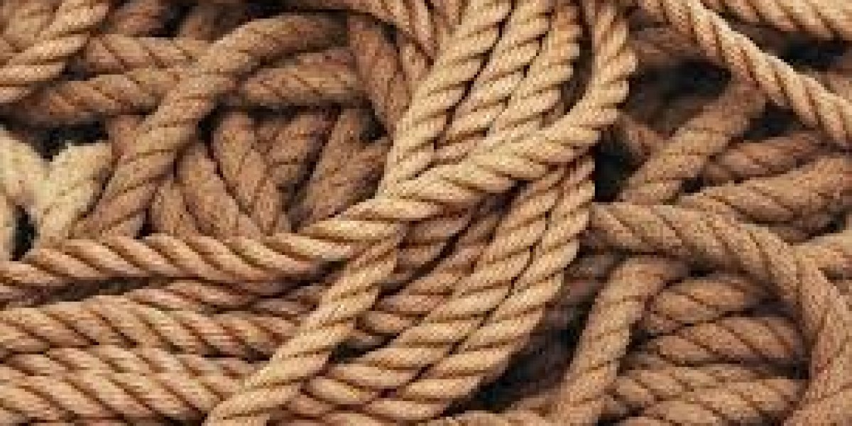 Ropes Market Supply Chain Trends: Understanding Logistics, Manufacturing, and Distribution Challenges
