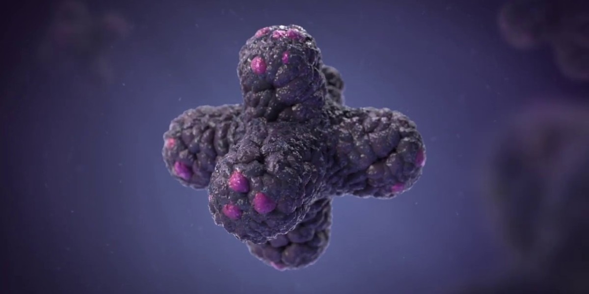 Organoids Market Development: Key Technological Advancements and Innovations Shaping the Future of Organoid Research